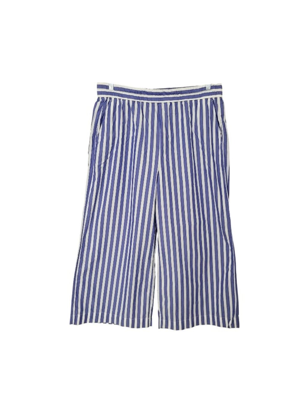 J. Crew Blue and White Striped Wide-Leg Pants